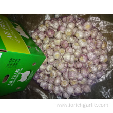 Fresh Normal White Garlic Top Quality New Crop